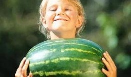 深圳罗湖龙湖吃瓜,品味深圳街头风味