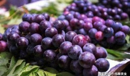 马奶提葡萄吃瓜,马奶提葡萄与夏日吃瓜的完美邂逅