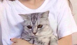 吃瓜猫情侣头像,吃瓜猫情侣头像背后的浪漫故事