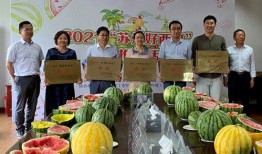 常熟胁迫门吃瓜,一场网络暴力的漩涡与反思