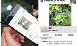 面对舆论如何理性吃瓜,如何面对网络舆论