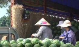 吃瓜热门事件基地,追踪热点背后的真相与幕后故事