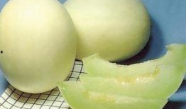 吃甜瓜还是吃蜜瓜减肥,甜瓜与蜜瓜减肥大比拼