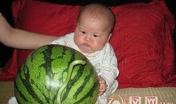 吃瓜社区网,网络舆论场上的“瓜田”盛景