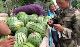 吃瓜天下,揭秘娱乐圈幕后故事