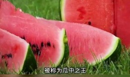 吃瓜科普知识,从瓜果种类到健康益处