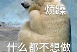 吃瓜吃饼群众表情图,揭秘吃饼群众的喜怒哀乐