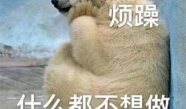 吃瓜吃饼群众表情图,揭秘吃饼群众的喜怒哀乐