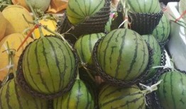 水寨吃瓜,吃瓜群众的欢乐时光