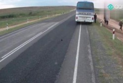 吃瓜引发的连环坠楼,连环坠楼事件背后的惊人真相