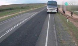 吃瓜引发的连环坠楼,连环坠楼事件背后的惊人真相