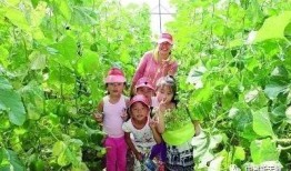 乌鲁木齐吃瓜哪家强,探寻当地美食哪家强