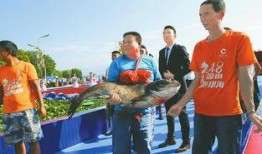 西昌邛海吃瓜,西昌吃瓜时光的悠闲之旅