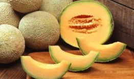 美浓瓜是哈密瓜吗怎么吃,辨析与美味食用指南