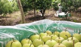 常熟胁迫门吃瓜,一场网络暴力的漩涡与反思