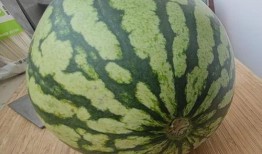 17楼男子吃瓜,揭秘高空“观景”背后的惊险瞬间