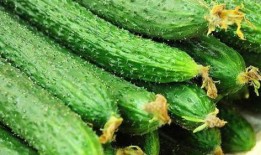 花花的瓜怎么吃,解锁美味新体验