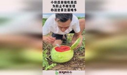 小伙吃瓜不掏钱,揭秘网络时代的“瓜农”生存法则
