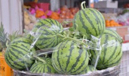 吃瓜群众坏老头,网络红人的崛起与争议