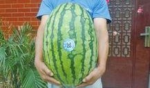 51吃瓜热门吃瓜