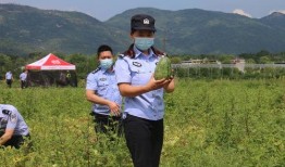 警察出警吃瓜,意外成为网友热议焦点