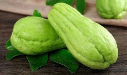 八棱瓜血糖高可以吃吗,八棱瓜血糖高者适宜食用指南