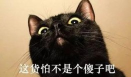 黑猫君吃瓜,揭秘娱乐圈那些不为人知的幕后故事