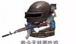 吃鸡不吃瓜,专注战斗，不沾瓜界风云