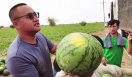 吃瓜人满为患,揭秘网络热议背后的现象