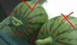 吃瓜挑着吃,揭秘如何挑着吃，尽享美味与营养