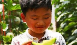 真真在线吃瓜,揭秘娱乐圈幕后故事