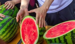 吃瓜哪个学校,“揭秘‘吃瓜现象背后的高校风云录”