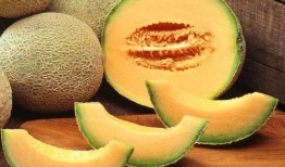 美浓瓜是哈密瓜吗怎么吃,辨析与美味食用指南