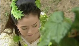 安静公主吃银瓜