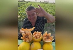 抖音吃瓜的人怎么吃的,揭秘吃瓜群众的独特吃瓜姿势