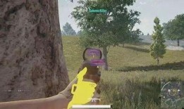 吃鸡歪瓜玩家,揭秘游戏中的趣味与智慧