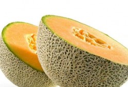 吃哈密瓜可以吃猪肺吗,探寻营养搭配的奥秘