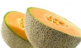 吃哈密瓜可以吃猪肺吗,探寻营养搭配的奥秘