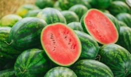 红莲湖吃瓜,揭秘夏日狂欢背后的故事