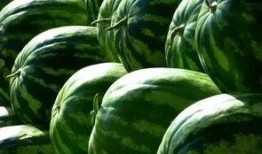 吃瓜挑着吃,揭秘如何挑着吃，尽享美味与营养