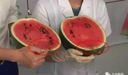 打针吃瓜,趣味医疗生活瞬间