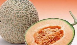 拉稀可以吃哈密瓜吗,适宜还是禁忌？