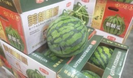 最近网上温州吃瓜