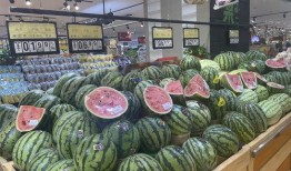 吃瓜社区网,网络舆论场上的“瓜田”盛景