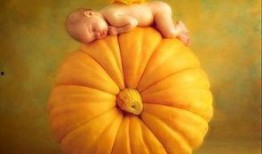 吃益瓜菊,天然养生新宠的神奇功效