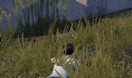 吃鸡歪瓜玩家,揭秘游戏中的趣味与智慧