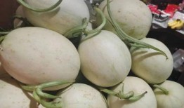 糖果吃瓜集美,甜蜜与欢乐的甜蜜时光