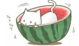 吃瓜球小妹,揭秘娱乐圈背后的那些事儿