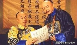 侍寝吃瓜人讲的什么