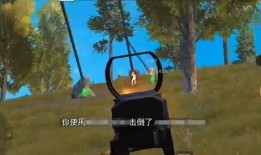 吃鸡歪瓜玩家,揭秘游戏中的趣味与智慧